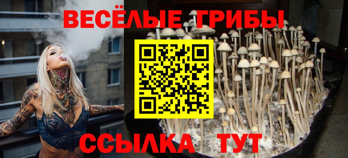 Набережные Челны  Галлюциногенные грибы Psilocybine cubensis  Вход с VPN  Псилоцибиновые грибы мицелий 